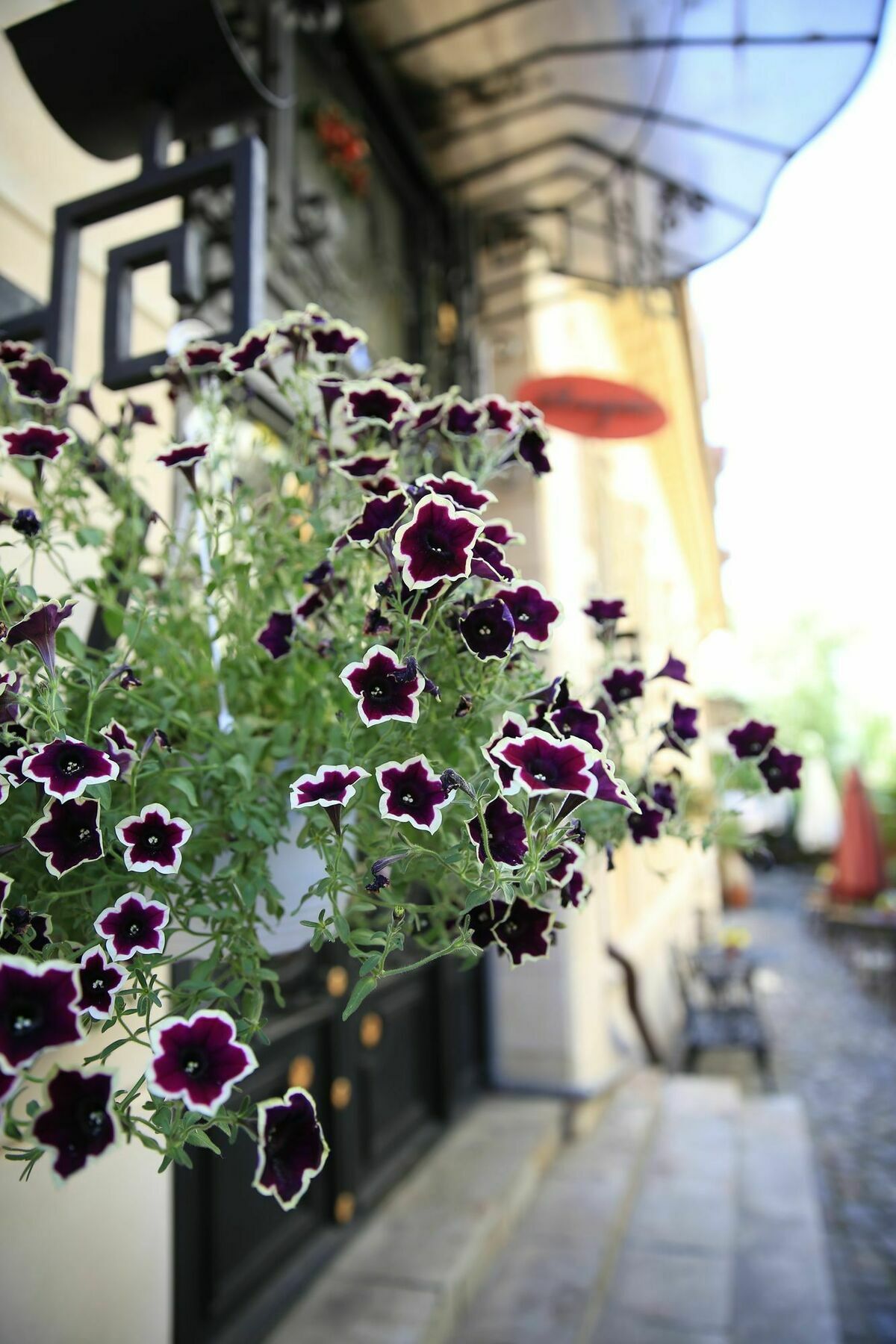Vila Sia Bucharest Luaran gambar